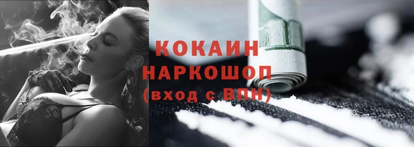 стаф Зерноград