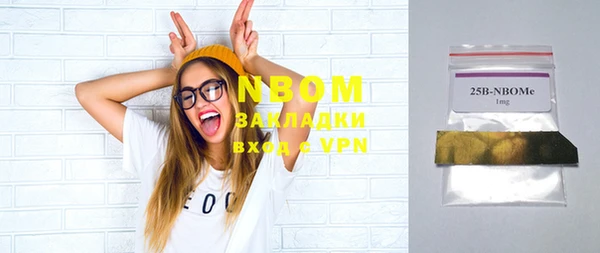 стаф Зерноград