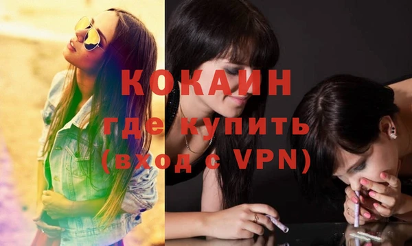 стаф Зерноград
