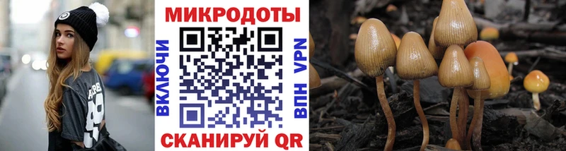 Купить закладки  Инза  Галлюциногенные грибы ЛСД 